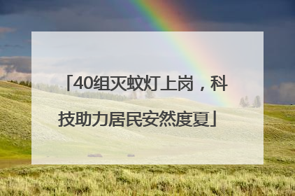40组灭蚊灯上岗，科技助力居民安然度夏