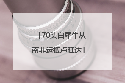 70头白犀牛从南非运抵卢旺达