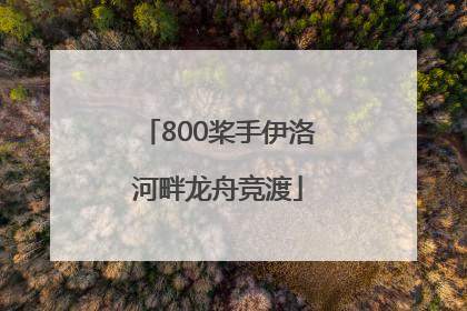 800桨手伊洛河畔龙舟竞渡
