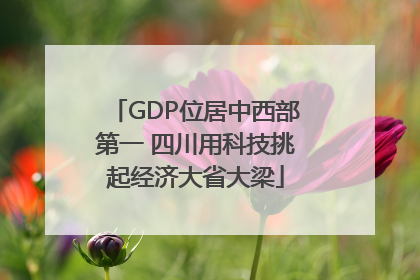 GDP位居中西部第一 四川用科技挑起经济大省大梁