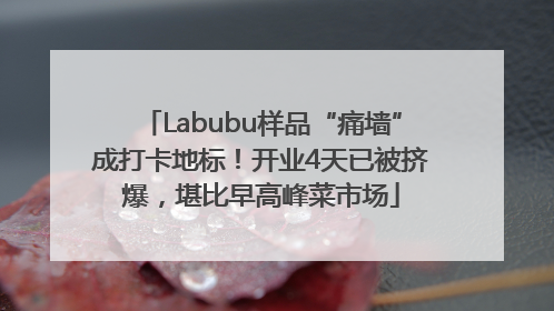 Labubu样品“痛墙”成打卡地标！开业4天已被挤爆，堪比早高峰菜市场