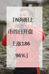 N海阳上市首日开盘上涨186.96%